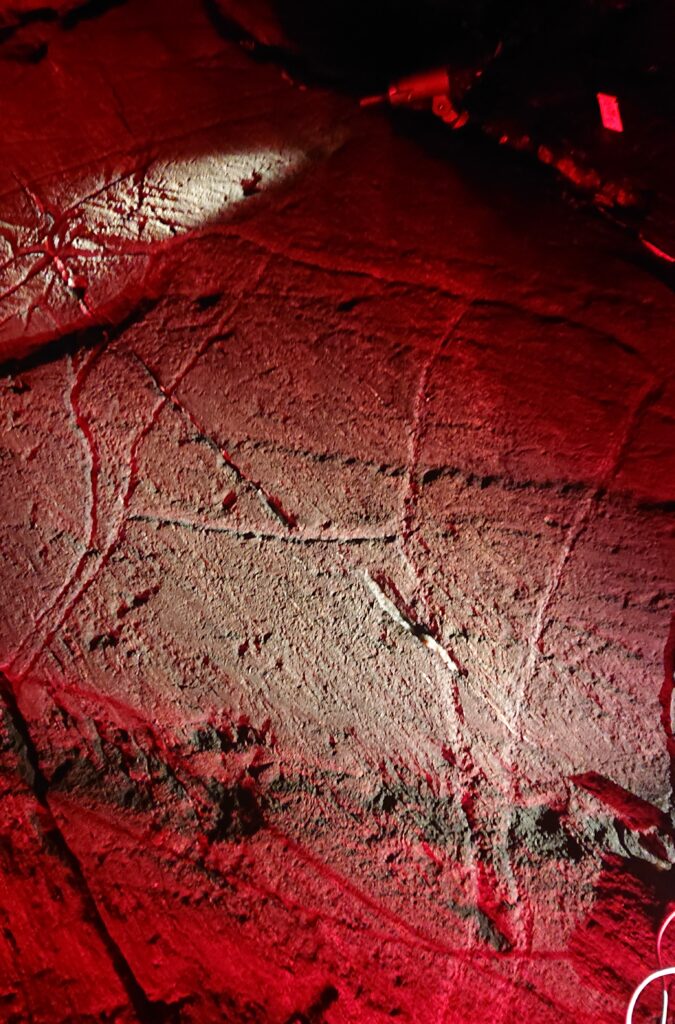 Fotot visar visar en hällristning som är belyst från sidan med rödaktigt ljus.