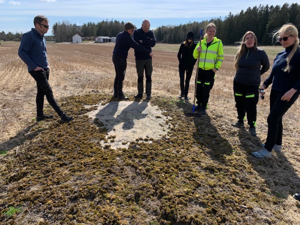 Fotot visar en igenväxt häll på en åker, runt hällen står sju personer.